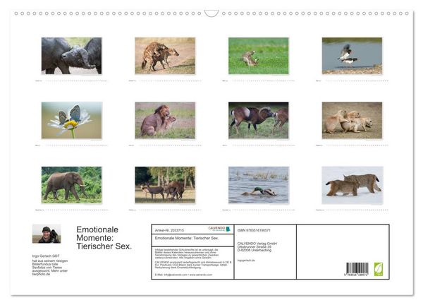 Produktbild: Emotionale Momente: Tierischer Sex. (Wandkalender 2026 DIN A2 quer), CALVENDO Monatskalender