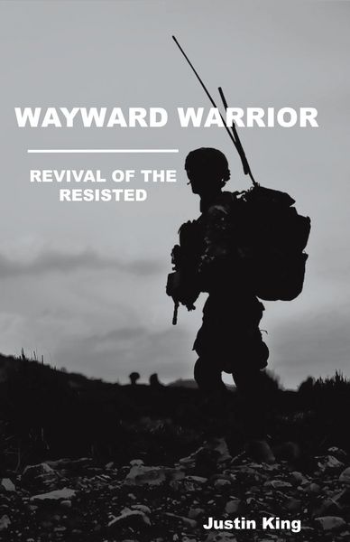 Produktbild: Wayward Warrior