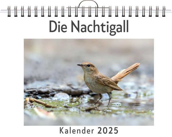 Produktbild: Die Nachtigall