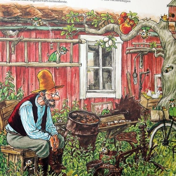 Produktbild: Pettersson und Findus. Wie Findus zu Pettersson kam