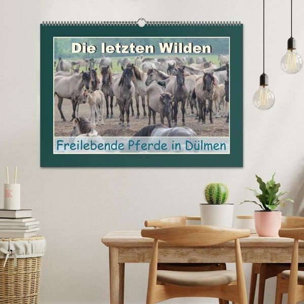 Produktbild: Die letzten Wilden - freilebende Pferde in D&uuml;lmen (Wandkalender 2027 DIN A2 quer), CALVENDO Monatskalender