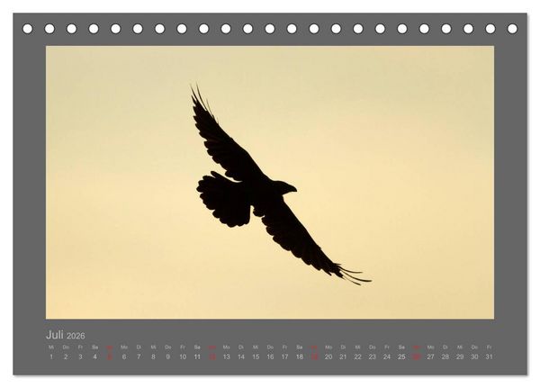 Produktbild: V&Ouml;GEL (Tischkalender 2026 DIN A5 quer), CALVENDO Monatskalender