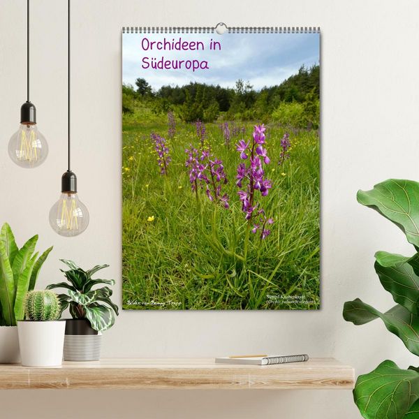 Produktbild: Orchideen in S&uuml;deuropa (Wandkalender 2026 DIN A2 hoch), CALVENDO Monatskalender