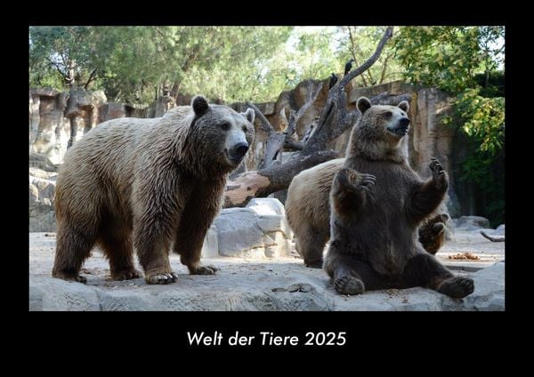 Produktbild: Welt der Tiere 2025 Fotokalender DIN A3