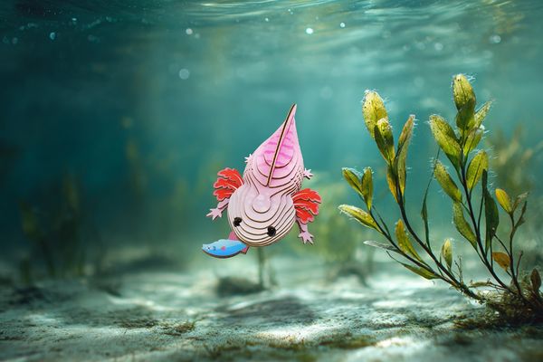 Produktbild: EUGY - 3D Bastelset Axolotl