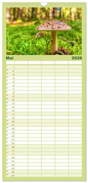 Produktbild: Familienplaner 2026 - Vielfalt am Waldboden mit 5 Spalten (Wandkalender, 21 x 45 cm) CALVENDO