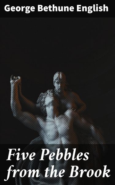 Produktbild: Five Pebbles from the Brook