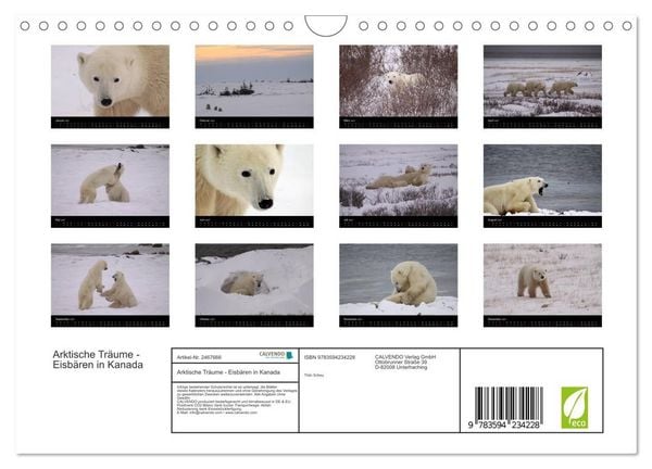 Produktbild: Arktische Tr&auml;ume - Eisb&auml;ren in Kanada (Wandkalender 2027 DIN A4 quer), CALVENDO Monatskalender