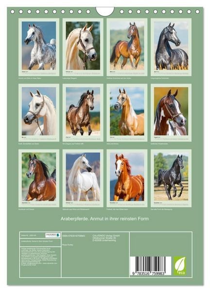 Produktbild: Araberpferde. Anmut in ihrer reinsten Form (Wandkalender 2027 DIN A4 hoch), CALVENDO Monatskalender
