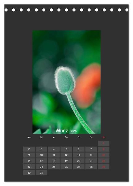 Produktbild: Mohn (Tischkalender 2026 DIN A5 hoch), CALVENDO Monatskalender