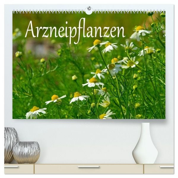Produktbild: Arzneipflanzen (hochwertiger Premium Wandkalender 2026 DIN A2 quer), Kunstdruck in Hochglanz