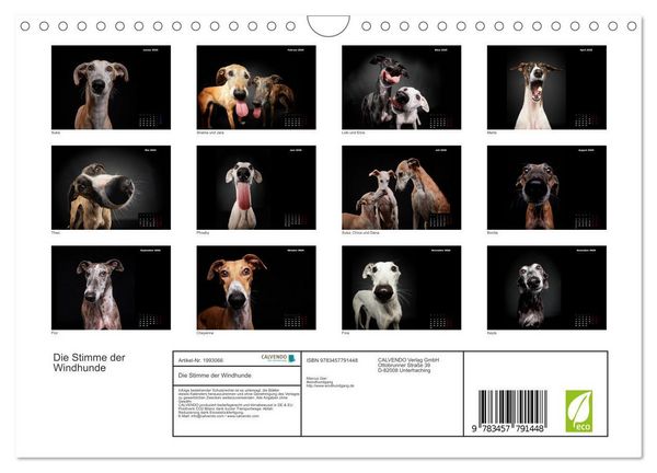 Produktbild: Die Stimme der Windhunde (Wandkalender 2026 DIN A4 quer), CALVENDO Monatskalender