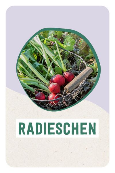 Produktbild: Kartenset: Hochbeet super easy