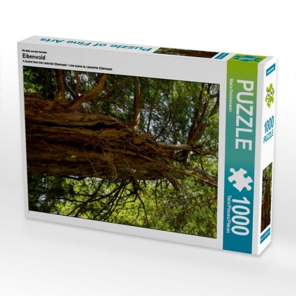 CALVENDO Puzzle Ein Motiv aus dem Kalender Eibenwald | 1000 Teile Lege-Größe 64x48cm Foto-Puzzle für glückliche Stunden