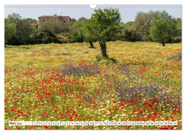 Produktbild: Spanien - Balearen - Mallorca (Wandkalender 2026 DIN A3 quer), CALVENDO Monatskalender