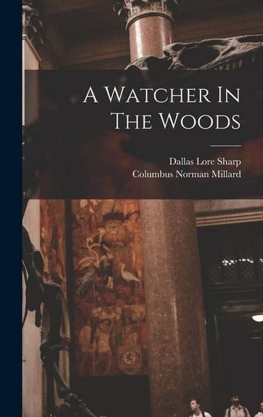 Produktbild: A Watcher In The Woods