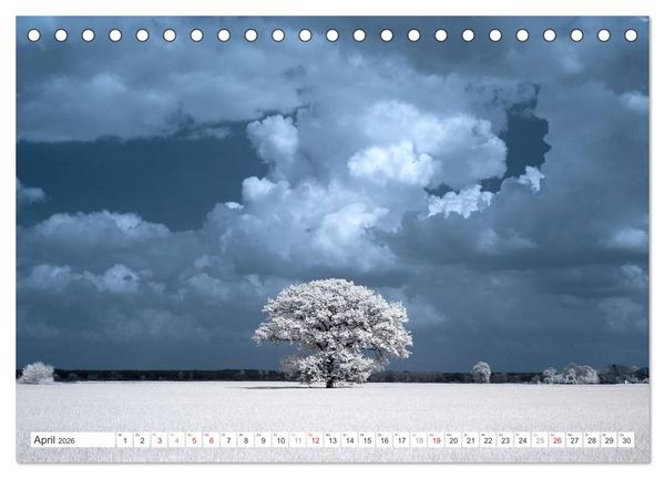 Produktbild: Zauberhafte Infrarot-Fotografie (Tischkalender 2026 DIN A5 quer), CALVENDO Monatskalender