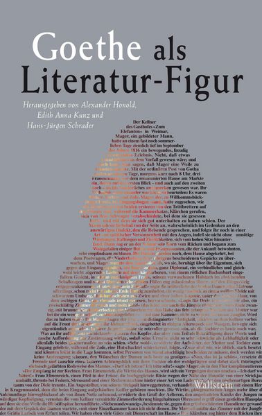 Produktbild: Goethe als Literatur-Figur