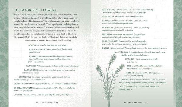 Produktbild: The Witch's Way