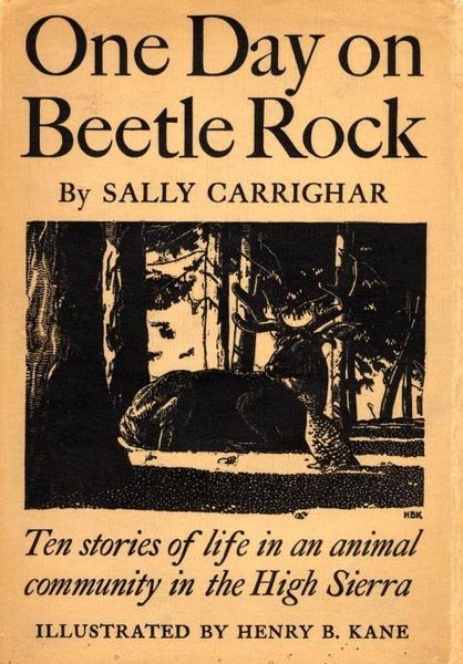 Produktbild: One Day On Beetle Rock