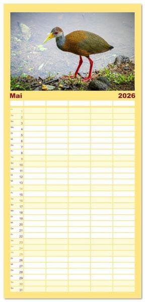 Produktbild: Familienplaner 2026 - Phantastische Vogelwelt Costa Rica mit 5 Spalten (Wandkalender, 21 x 45 cm) CALVENDO