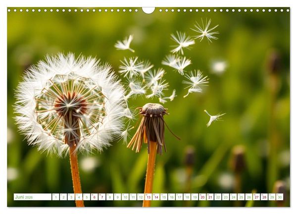 Produktbild: Die Poesie und Kraft des Windes - Windkraft in Bewegung (Wandkalender 2026 DIN A3 quer), CALVENDO Monatskalender