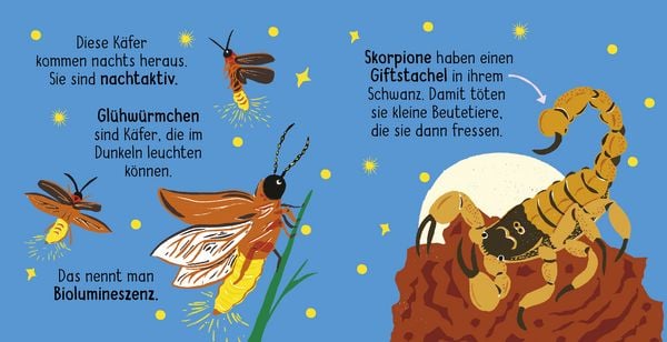 Produktbild: 50 W&ouml;rter &uuml;ber die Natur - Insekten