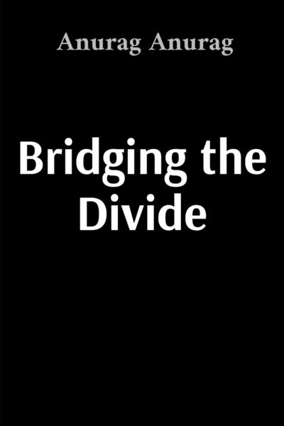 Produktbild: Bridging the Divide