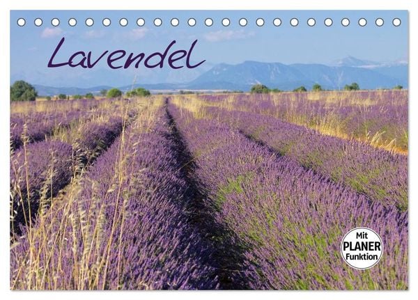 Produktbild: Lavendel (Tischkalender 2026 DIN A5 quer), CALVENDO Monatskalender