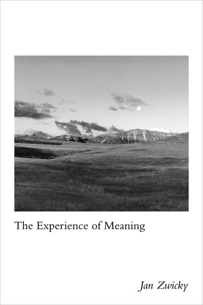 Produktbild: Experience of Meaning