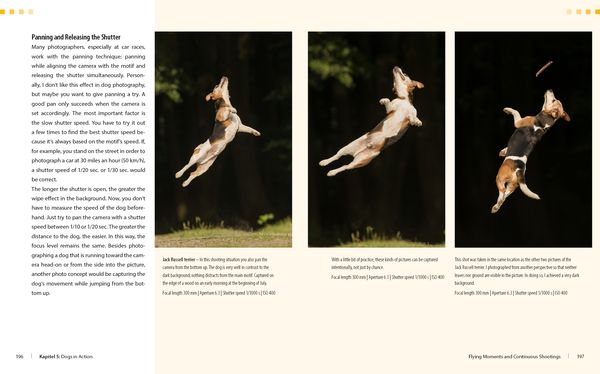 Produktbild: Dog Photography - Shooting with Bow "Wow" Effect