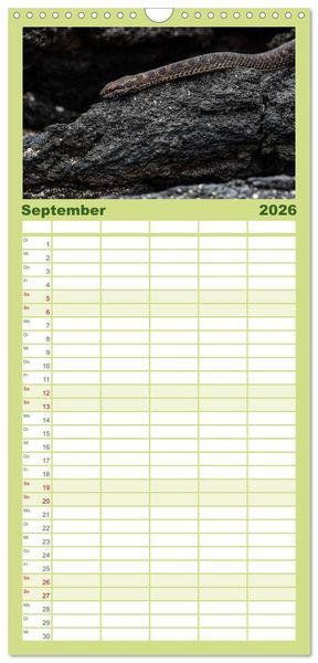 Produktbild: Familienplaner 2026 - Die faszinierende Tierwelt der Galapagos-Inseln mit 5 Spalten (Wandkalender, 21 x 45 cm) CALVENDO