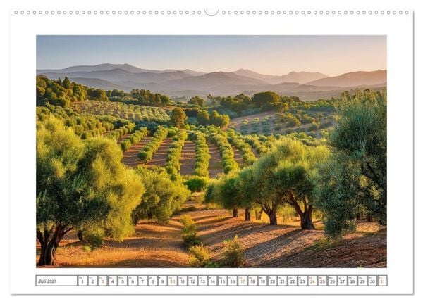 Produktbild: Die Magie der Olivenhaine (Wandkalender 2027 DIN A2 quer), CALVENDO Monatskalender