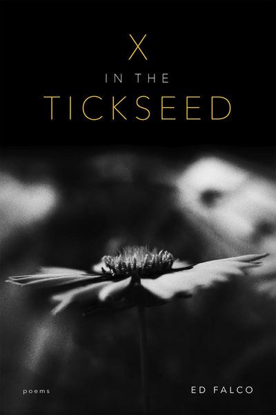 Produktbild: X in the Tickseed