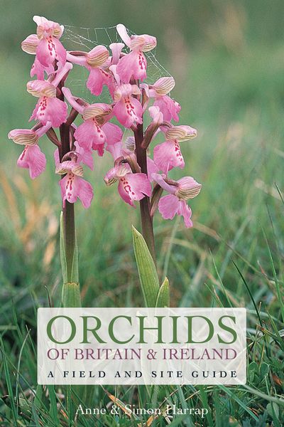 Produktbild: Orchids of Britain and Ireland