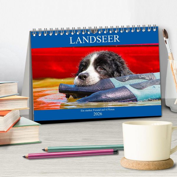 Produktbild: Landseer - Ein starker Freund auf 4 Pfoten (Tischkalender 2026 DIN A5 quer), CALVENDO Monatskalender