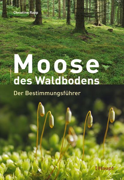 Produktbild: Moose des Waldbodens
