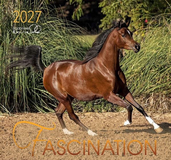 Produktbild: Fascination 2027