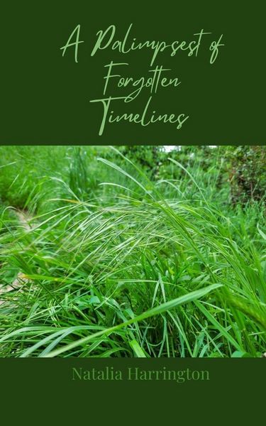 Produktbild: A Palimpsest of Forgotten Timelines
