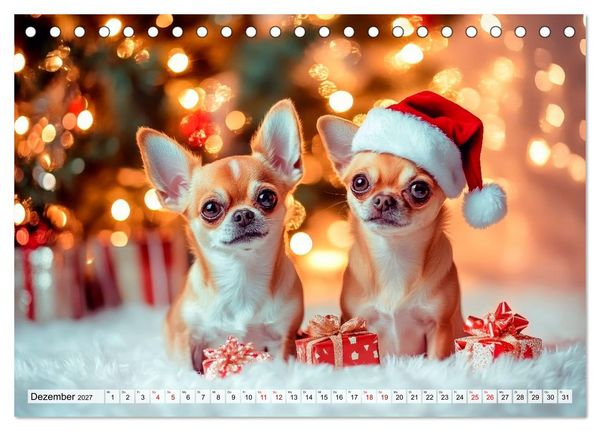 Produktbild: Niedliche Chihuahuas (Tischkalender 2027 DIN A5 quer), CALVENDO Monatskalender