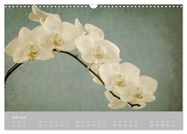 Produktbild: Orchideen Tr&auml;ume (Wandkalender 2026 DIN A3 quer), CALVENDO Monatskalender