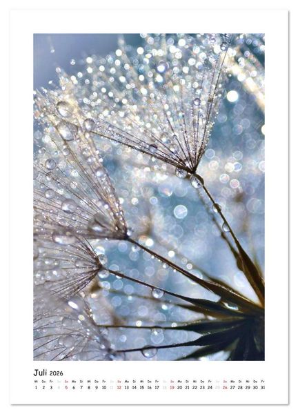 Produktbild: Die Pusteblume neu erleben (Wandkalender 2026 DIN A3 hoch), CALVENDO Monatskalender