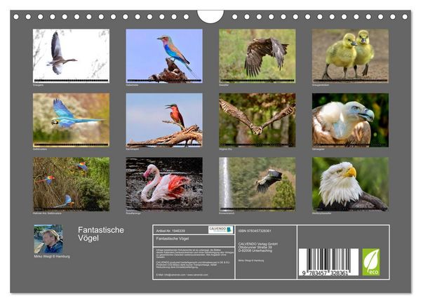 Produktbild: Fantastische V&ouml;gel (Wandkalender 2026 DIN A4 quer), CALVENDO Monatskalender