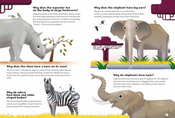 Produktbild: 200 Q&as about Animals
