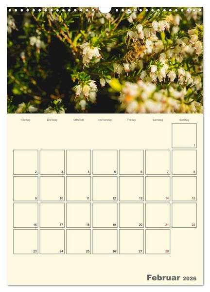 Produktbild: Bienen im Naturgarten (Wandkalender 2026 DIN A3 hoch), CALVENDO Monatskalender