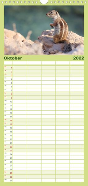Produktbild: Atlash&ouml;rnchen - Familienplaner hoch (Wandkalender 2022 , 21 cm x 45 cm, hoch)