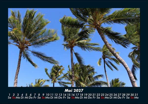 Produktbild: Palmentraum 2027 Fotokalender DIN A5