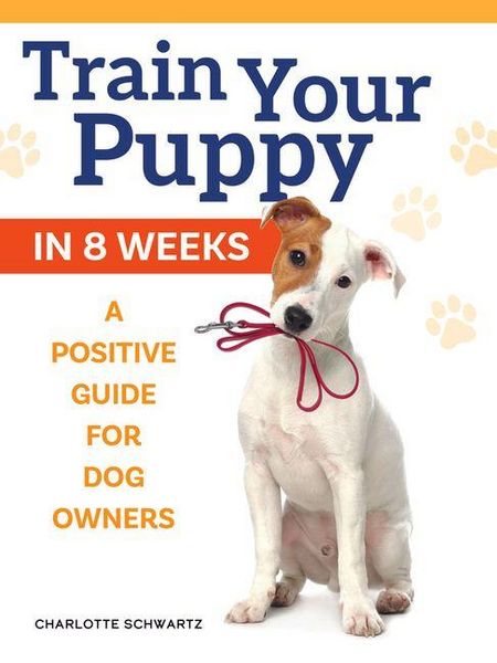 Produktbild: Train Your Puppy in 8 Weeks