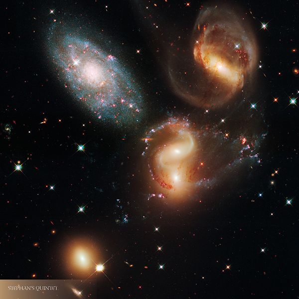 Produktbild: Where Stars are Born 2024
