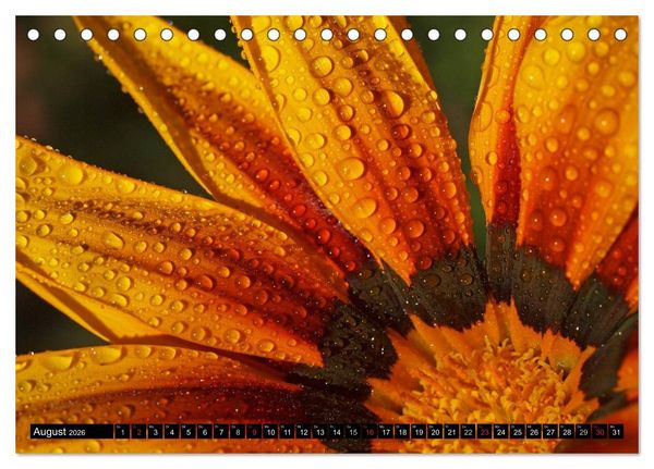 Produktbild: Wassertropfen - Diamanten des Lebens (Tischkalender 2026 DIN A5 quer), CALVENDO Monatskalender